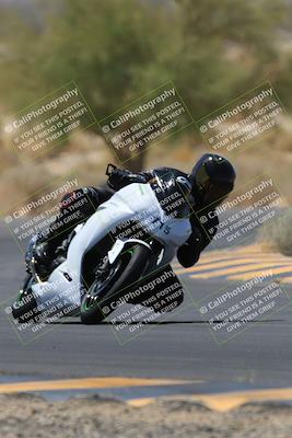 media/May-14-2023-SoCal Trackdays (Sun) [[024eb53b40]]/Turn 5 Tree of Life (1125am)/